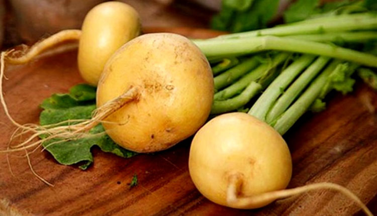 خواص شلغم زرد