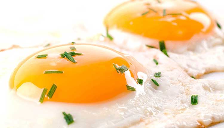 انواع غذا با تخم مرغ