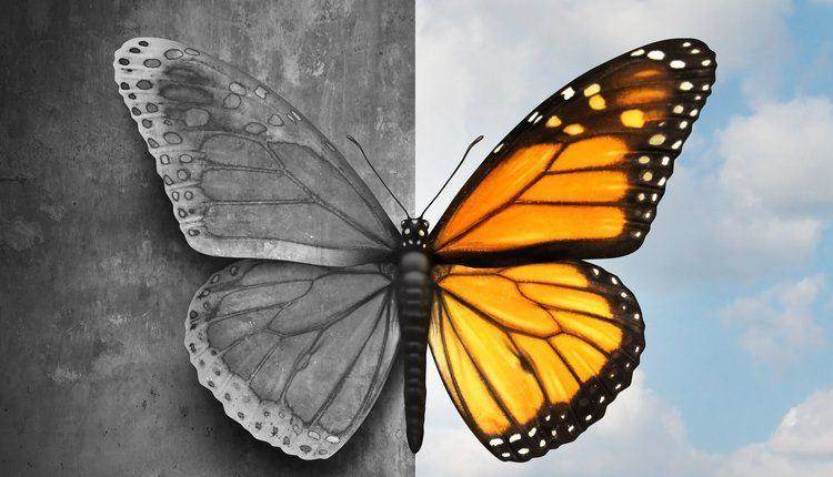 تست اختلال دوقطبی