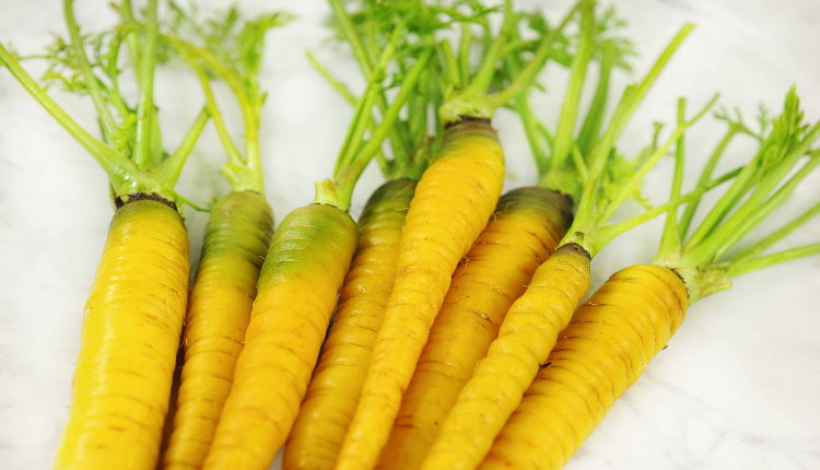 یکی دیگر از خواص زردک تقویت معده و روده است