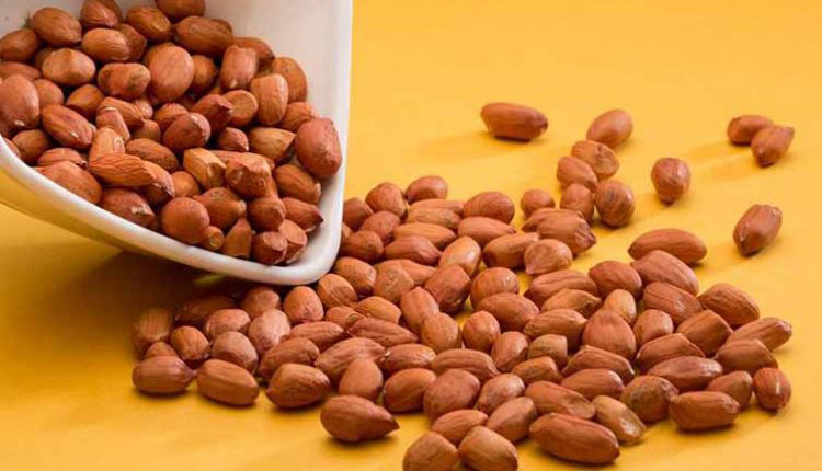 فواید بادام زمینی در طب سنتی