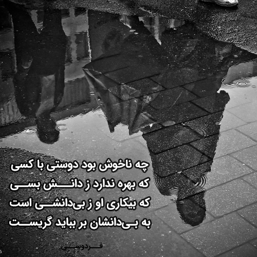 چه ناخوش بود دوستی با کسی که بهره ندارد ز دانش بسی