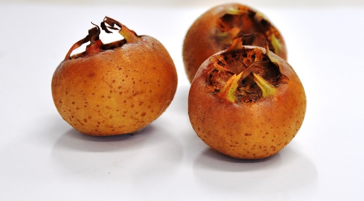 کالری ازگیل
