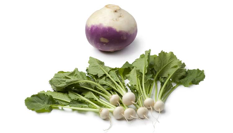 خوردن شلغم در بارداری