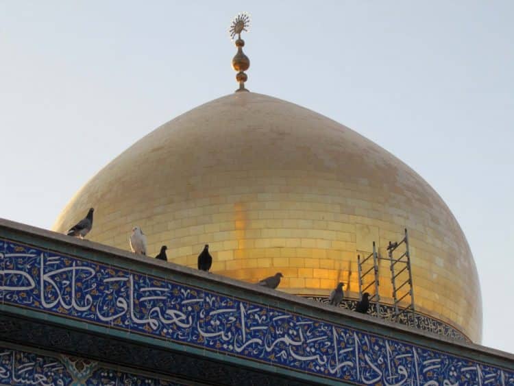 حدیث حضرت زینب
