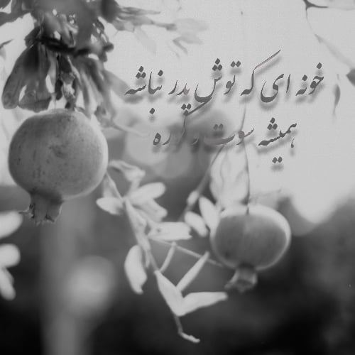 عکس نوشته پروفایل شب یلدا بدون پدر