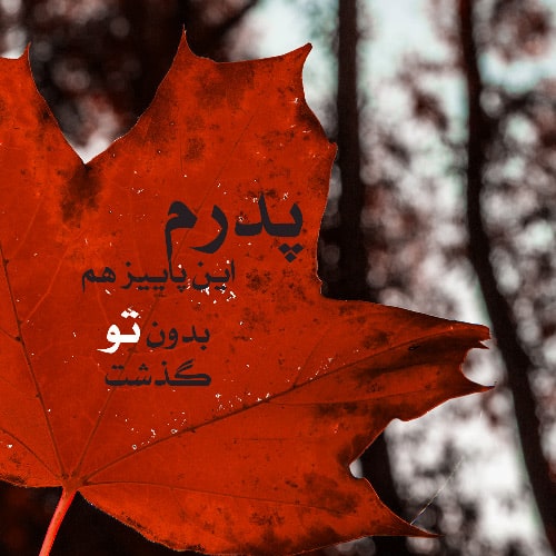 پروفایل شب یلدا بدون پدر