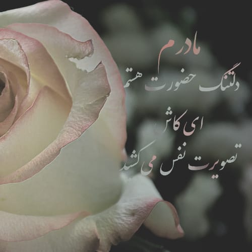 عکس پروفایل شب یلدا بدون مادر