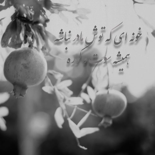 عکس پروفایل شب یلدا بدون مادر