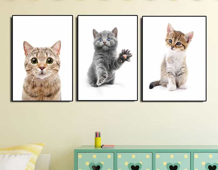 چاپ عکس گربه برای غلبه بر گربه هراسی