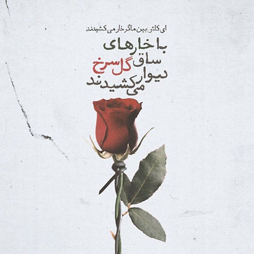 اس ام اس عاشقانه گل رز