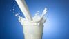 شیر حاوی پروتئین‌های ضروری برای بدن