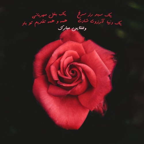 عکس پروفایل ویژه روز ولنتاین