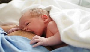 تعداد دفعات شیردهی به نوزاد