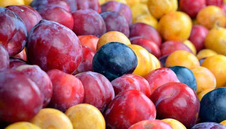 طبع آلو چیست؟