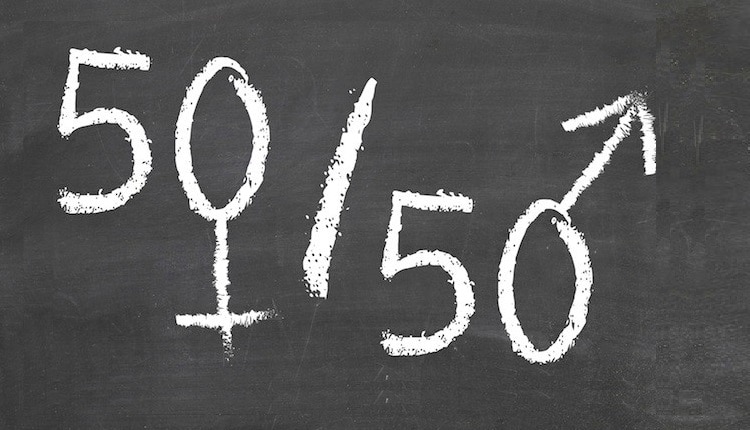 مفهوم فمینیست و فمینیسم