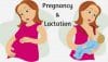 احتمال بارداری در دوران شیردهی