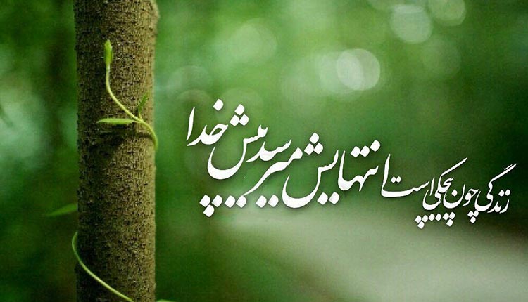 طبیعت نعمتی بزرگ از سمت خداوند