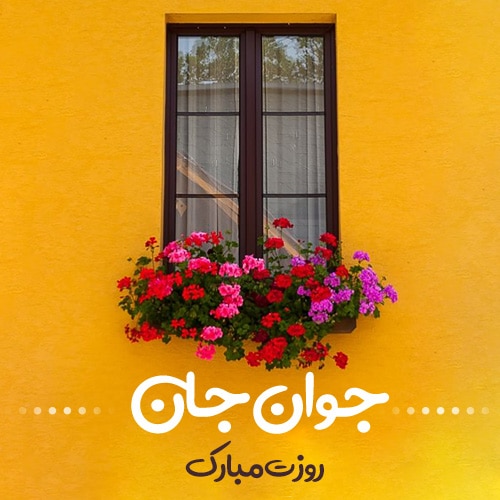عکس روز جوان