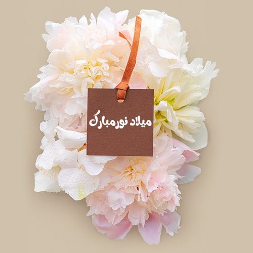 پروفایل ولادت امام حسن مجتبی مبارک
