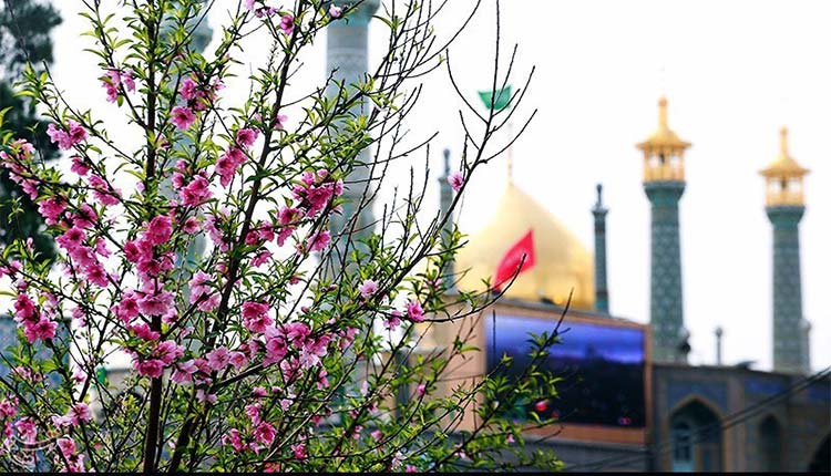 اشعار ولادت حضرت معصومه