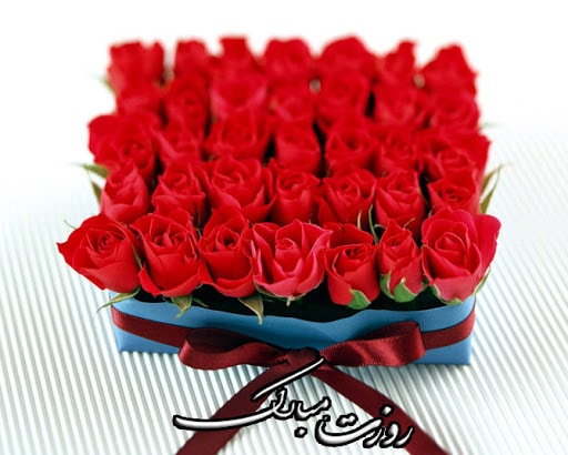 تبریک روز کارمند به شوهر