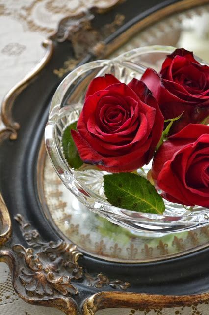 عکس گل رز هنری