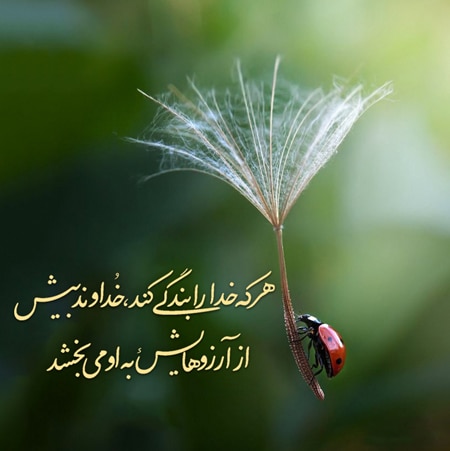 عکس پروفایل انرژی مثبت خدایی جدید