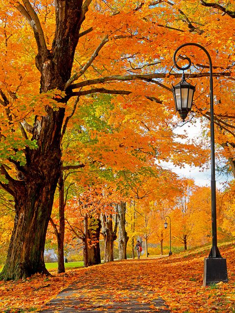 عکس طبیعت پاییزی شیک و زیبا