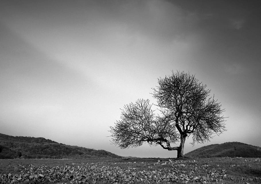 شعر نو غمگین عاشقانه