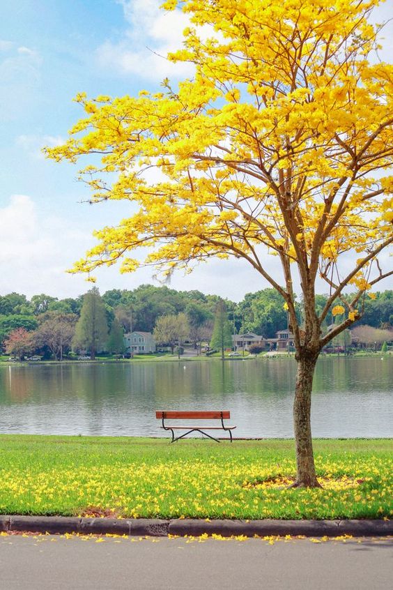 عکس طبیعت پاییزی زیبا