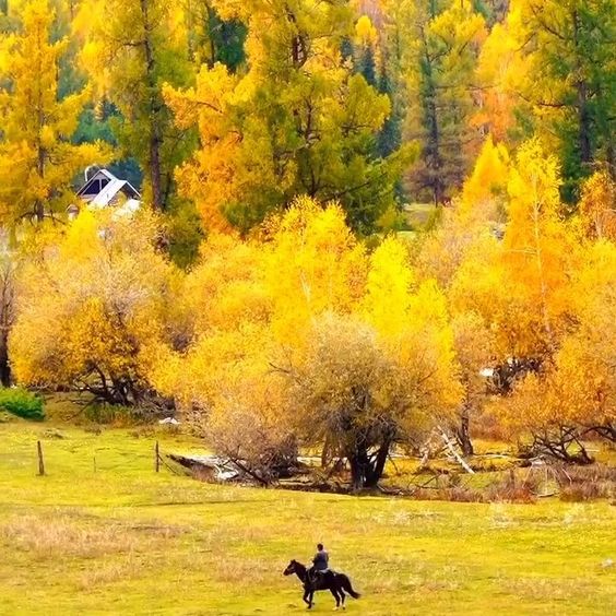 عکس طبیعت پاییزی و روستا