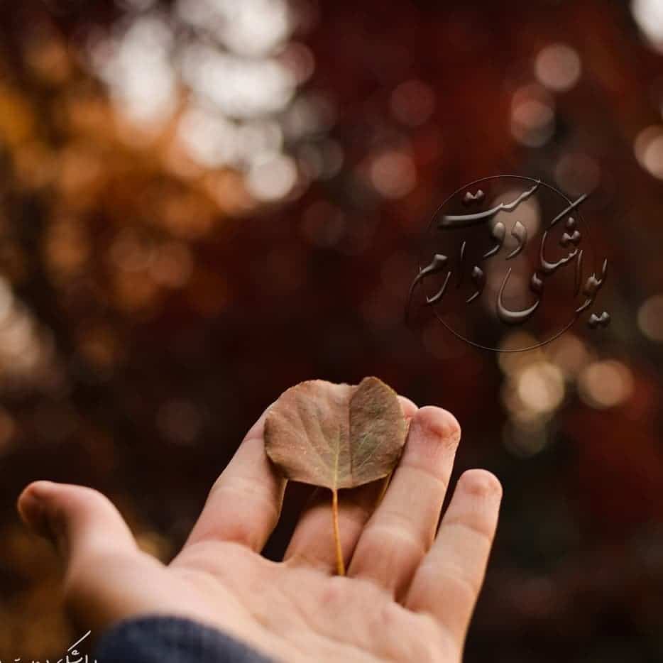عکس نوشته پاییزی خاص