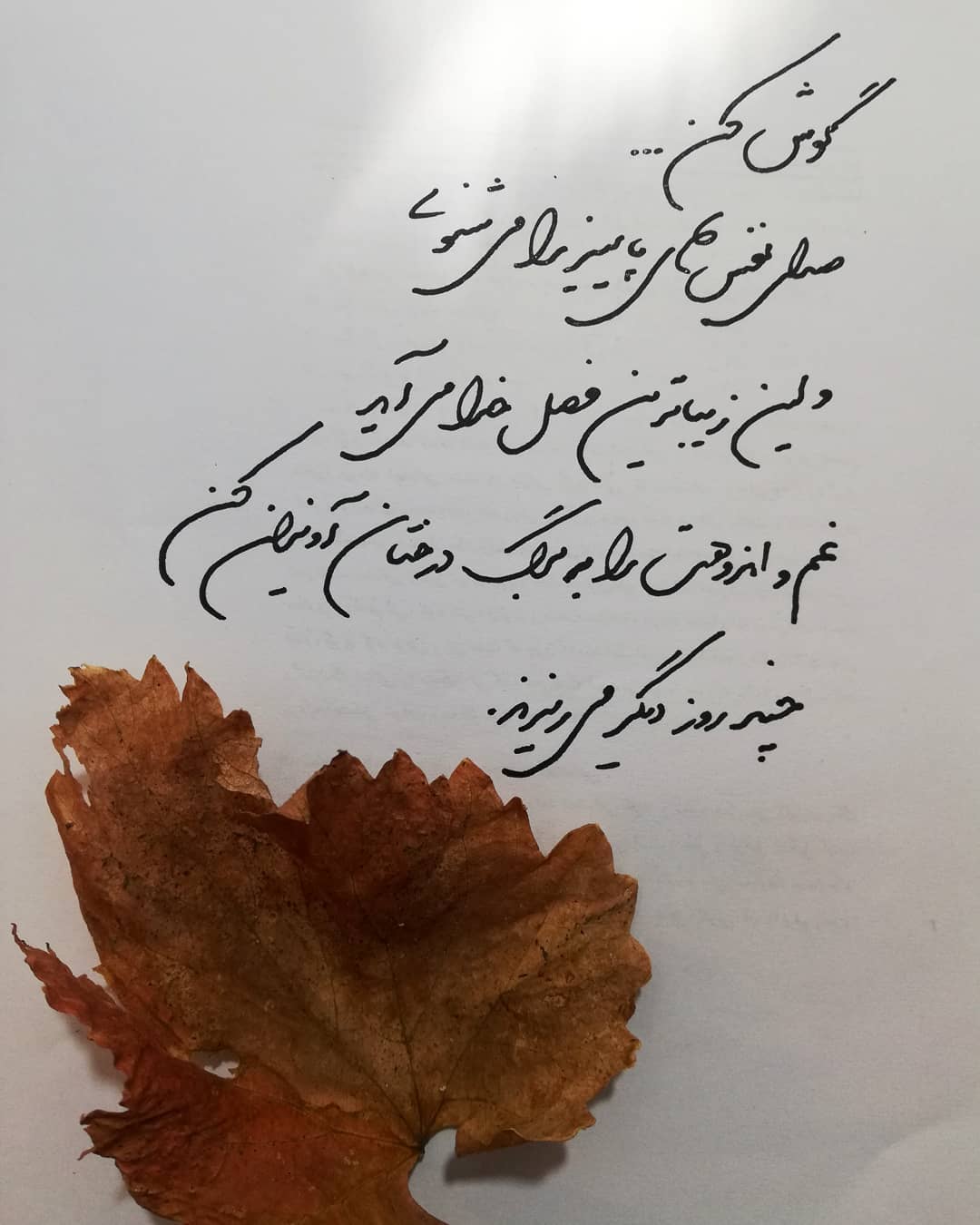 عکس نوشته پاییزی با کیفیت بالا جدید