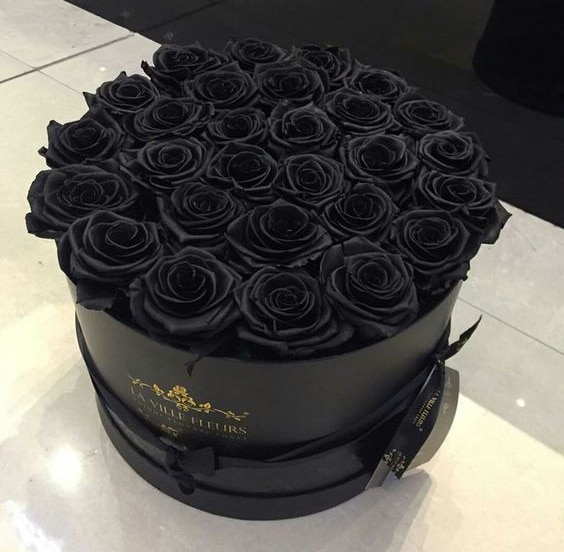 عکس باکس گل رز مشکی