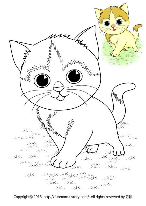 نقاشی گربه زیبا برای رن آمیزی