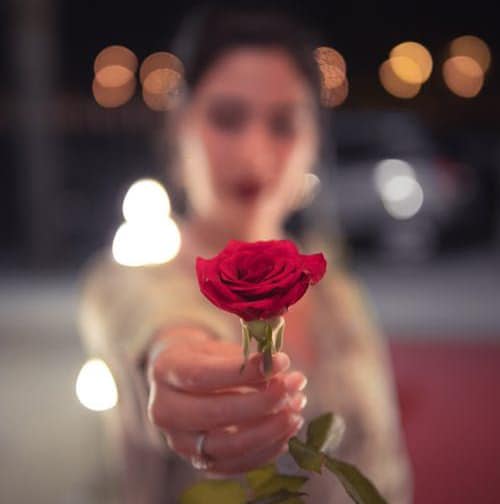 عکس گل رز قرمز عاشقانه خاص