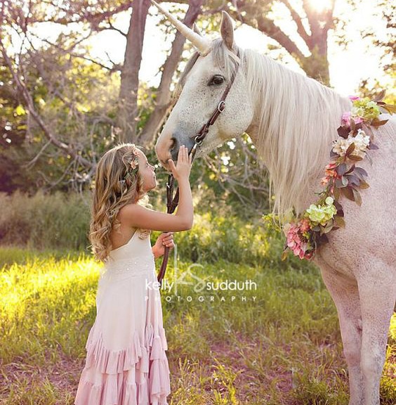 عکس اسب تک شاخ و دختر