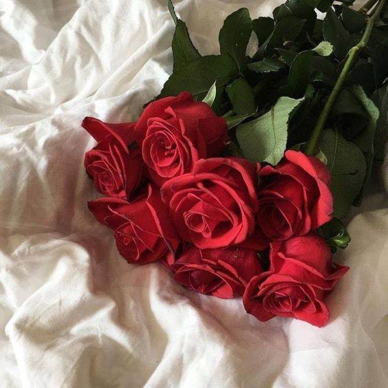 عکس دسته گل رز قرمز