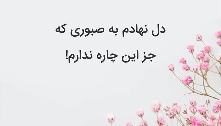 گلچین تک بیتی سعدی ناب