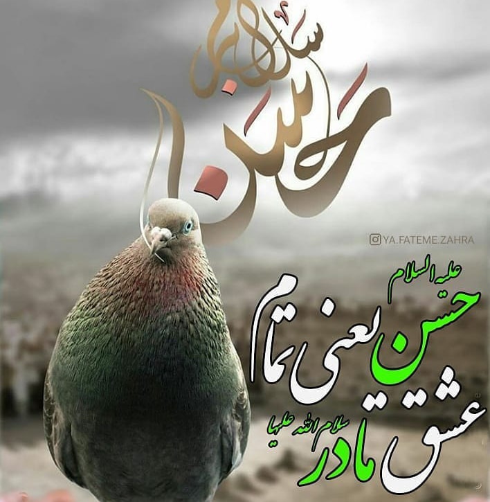 عکس پروفایل خاص برای رحلت پیامبر و شهادت امام حسن مجتبی (ع)