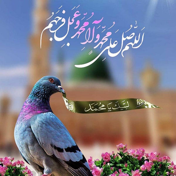 عکس پروفایل میلاد پیامبر
