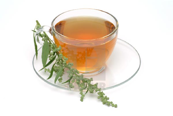 دمنوش درمنه چیست