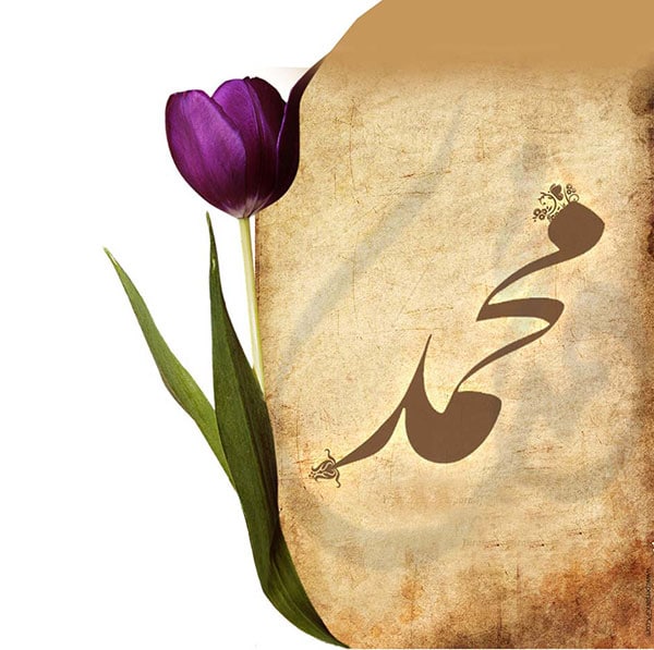 عکس پروفایل میلاد حضرت رسول