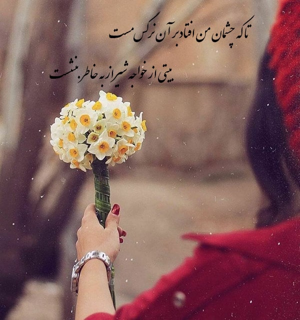 شعر گل نرگس حافظ