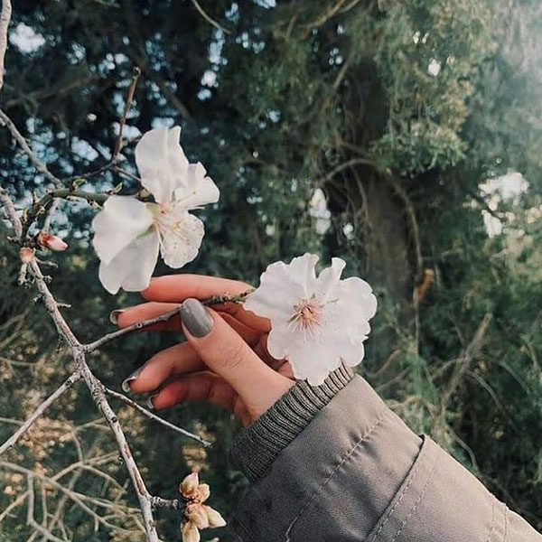 عکس پروفایل دخترونه بدون متن لاکچری