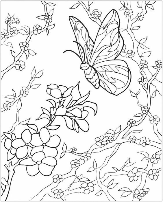 طرح نقاشی پروانه و گل برای رنگ آمیزی