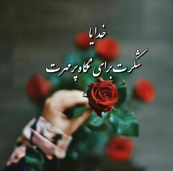 شکرگزاری جملات سپاسگزاری از خدا