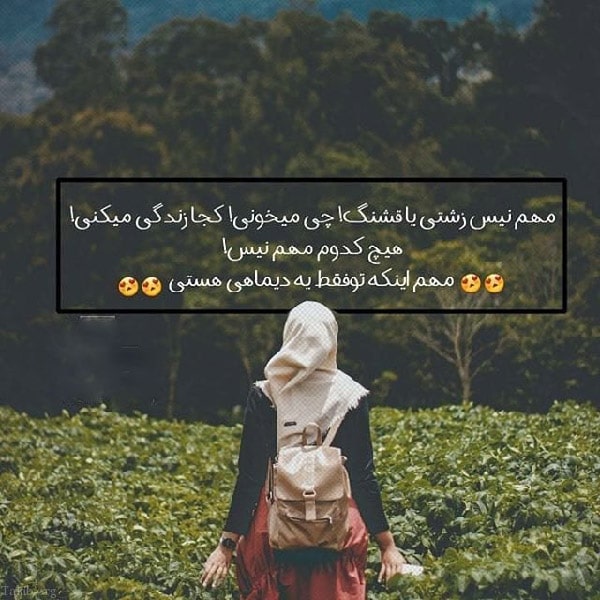 گلچین عکس و متن متولدین دی