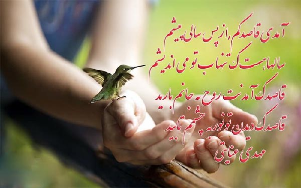 شعر درباره گل قاصدک